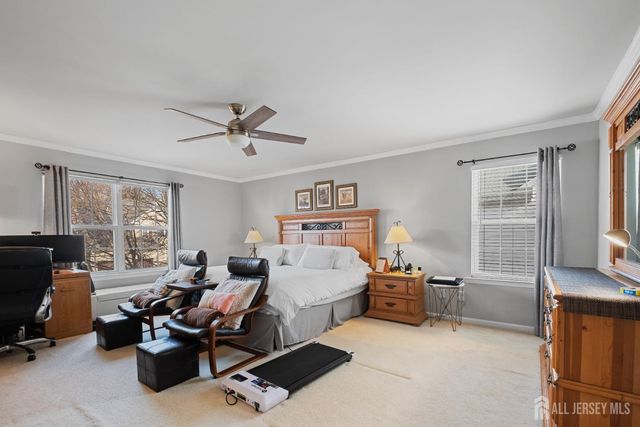 3 Summerfield Drive, Franklin, NJ 08540