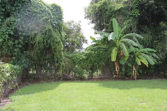 2113 LA DUE COURT, Orlando, FL 32811