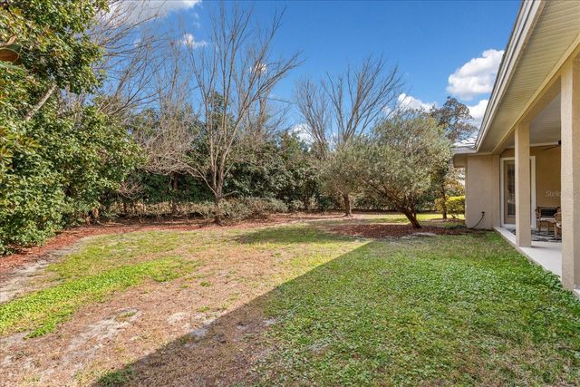 25516 HAWKS RUN LANE, Sorrento, FL 32776