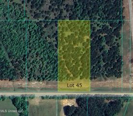 Stout Road, Canton, MS 39046