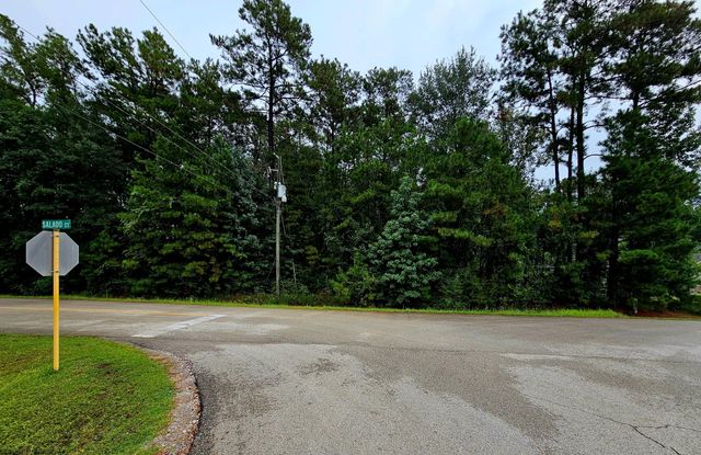 17019 Salado Drive, Splendora, TX 77372