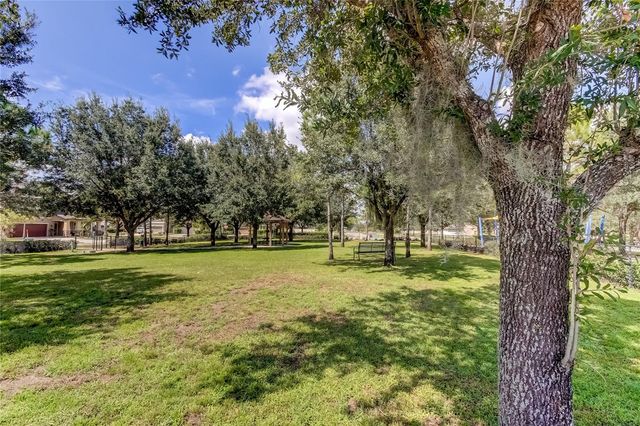 21851 LYONIA LANE, Land O Lakes, FL 34637