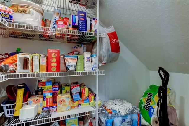 21851 LYONIA LANE, Land O Lakes, FL 34637