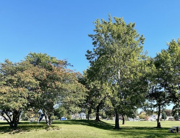 143 Northampton Street, Rochester, NY 14606
