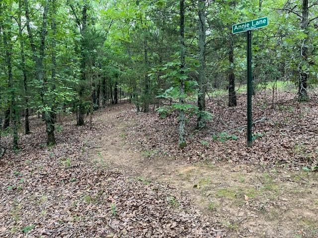 185 Lower Ridge Road, Conway, AR 72032