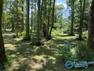 Lot 12 Kristi Lane, Grant, AL 35747