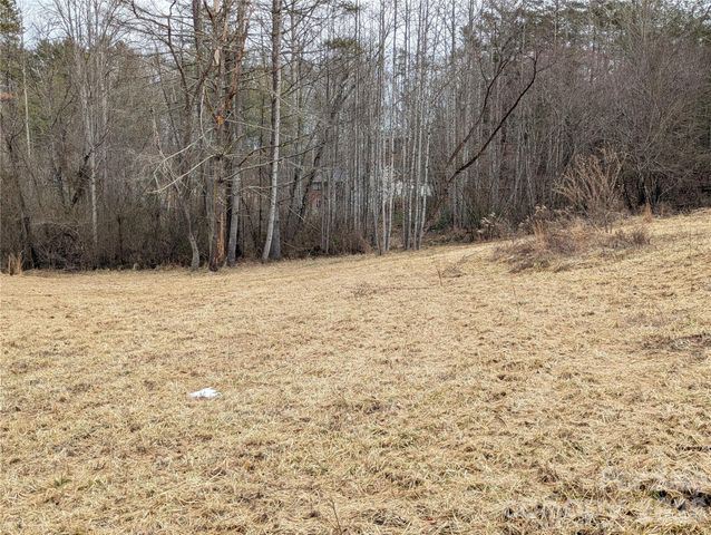 36 Country Cove Court 6, Leicester, NC 28748