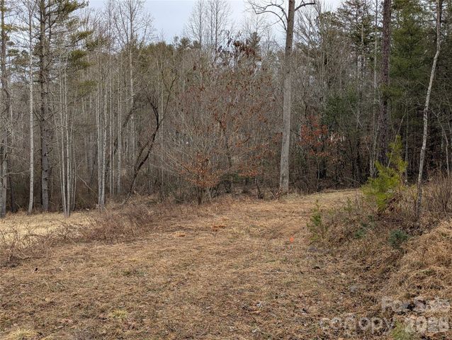 36 Country Cove Court 6, Leicester, NC 28748