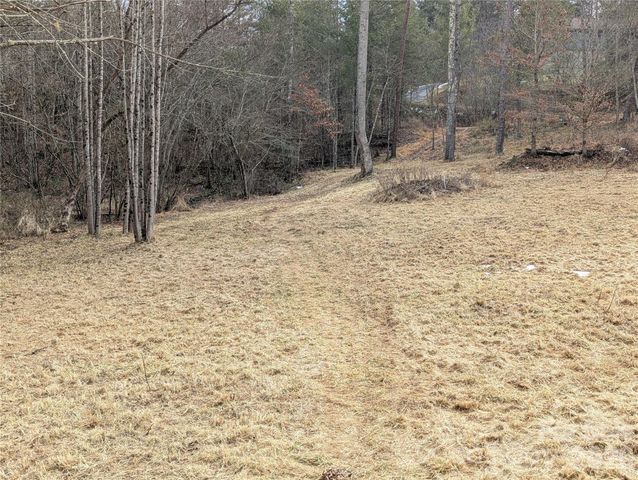 36 Country Cove Court 6, Leicester, NC 28748