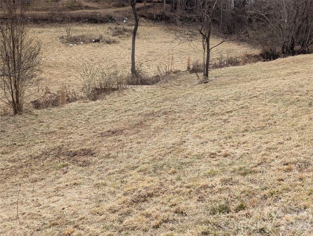 36 Country Cove Court 6, Leicester, NC 28748