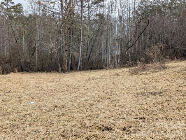 36 Country Cove Court 6, Leicester, NC 28748