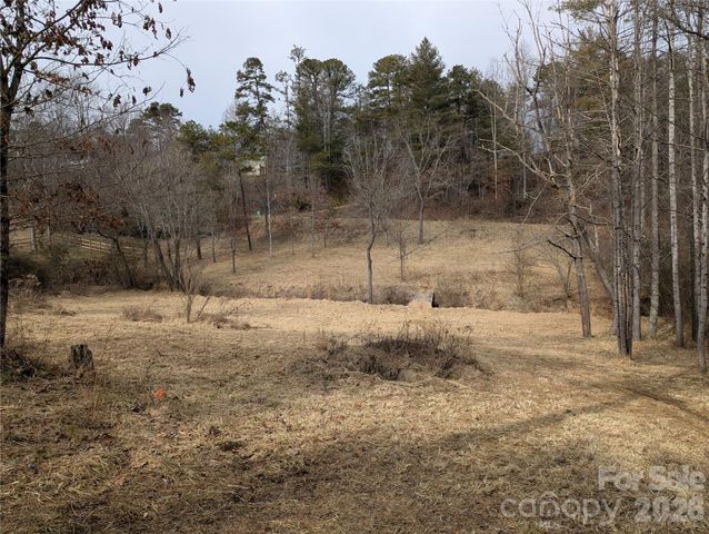 36 Country Cove Court 6, Leicester, NC 28748