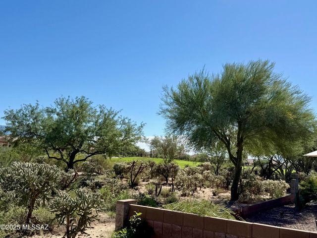 13136 N Desert Flora Lane, Marana, AZ 85658