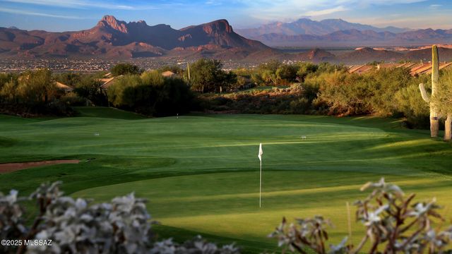 13136 N Desert Flora Lane, Marana, AZ 85658