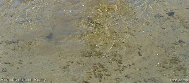 1491 Division Drive, Hartland, MI 48353