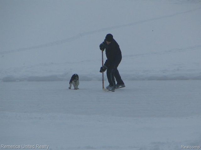 1491 Division Drive, Hartland, MI 48353