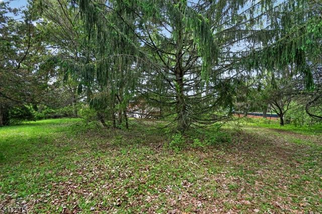 1 Mountain View Ct, Clinton Twp., NJ 08833