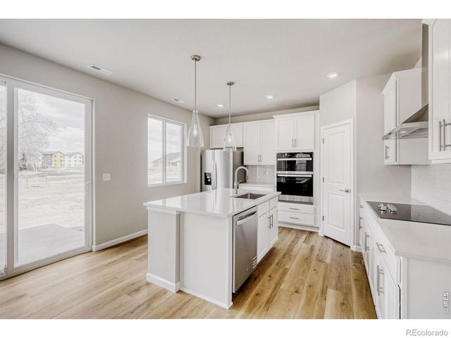 670 Noola Street, Windsor, CO 80550