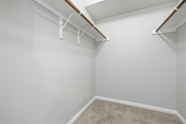 241 Marvin CV, Hutto, TX 78634