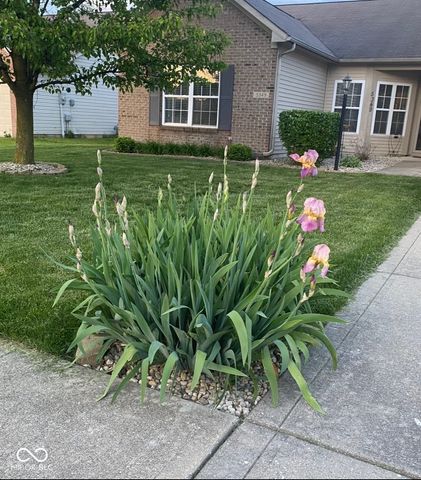 5349 Wood Hollow Drive, Indianapolis, IN 46239