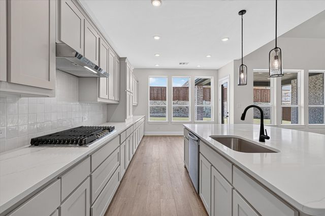 1223 Barbazzano Drive, Fate, TX 75087
