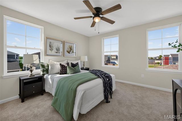192 Canal Cottage Alley, St Charles, MO 63301