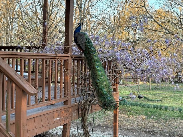 12772 Punkin Hollow Road, Bentonville, AR 72712