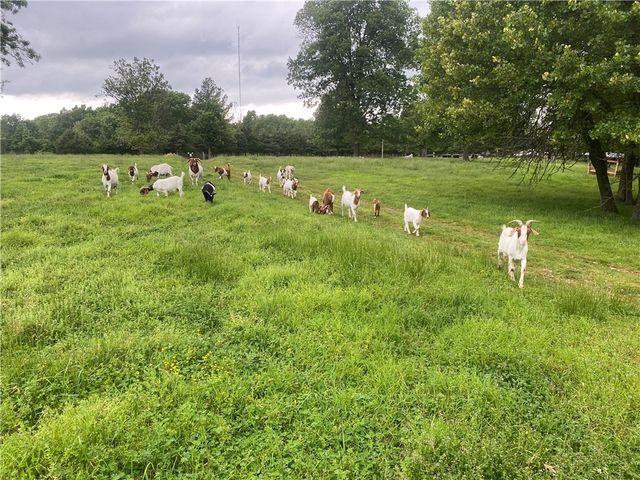 12772 Punkin Hollow Road, Bentonville, AR 72712