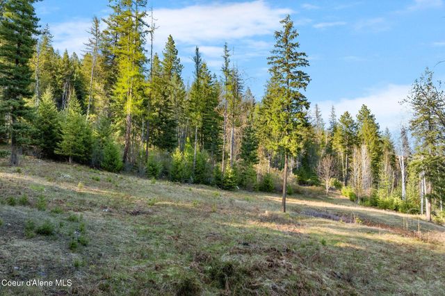 Lot B Spring View Ln, Sagle, ID 83860