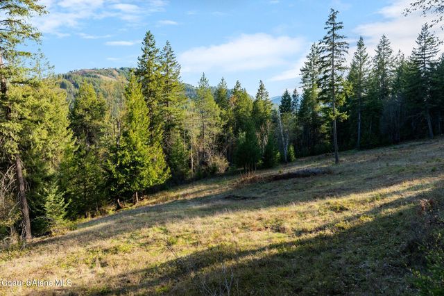 Lot B Spring View Ln, Sagle, ID 83860