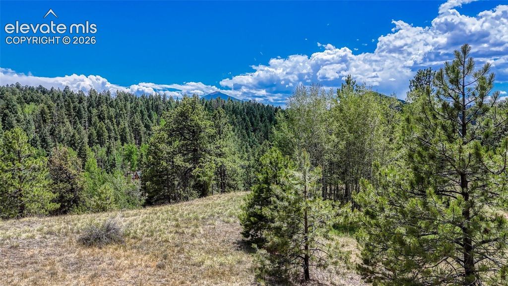 218 Princess Road, Cripple Creek, CO 80813 — exterior
