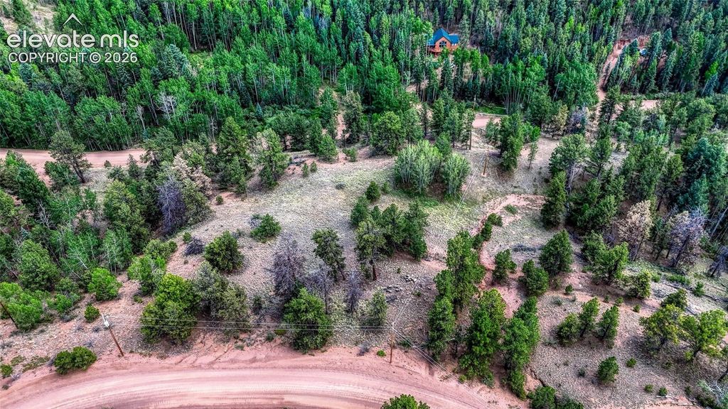 218 Princess Road, Cripple Creek, CO 80813 — photo 2