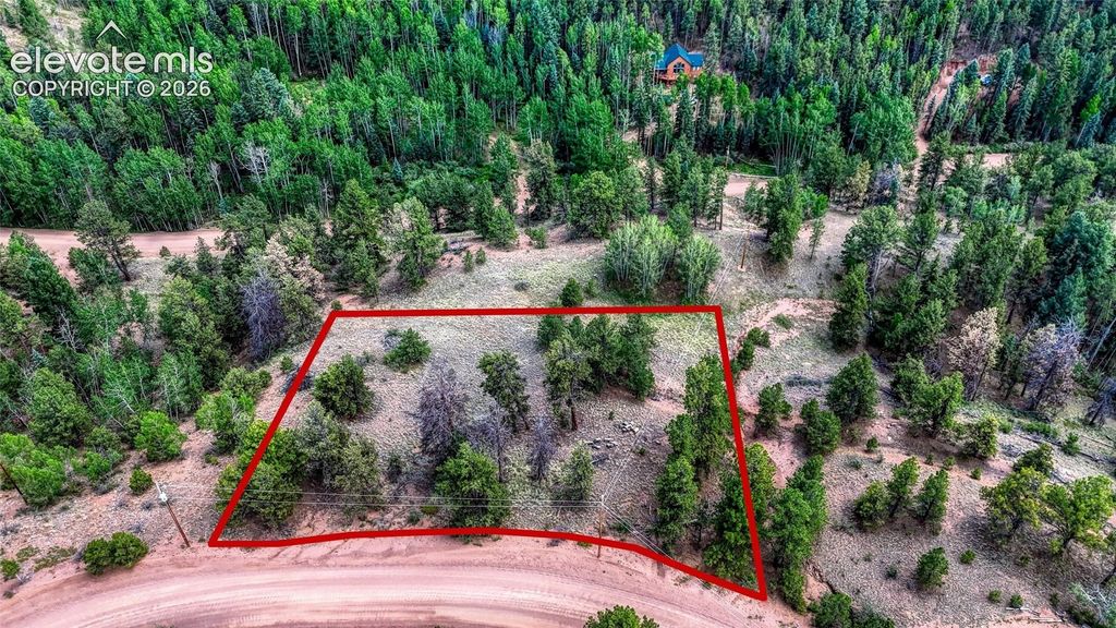 218 Princess Road, Cripple Creek, CO 80813 — photo 3