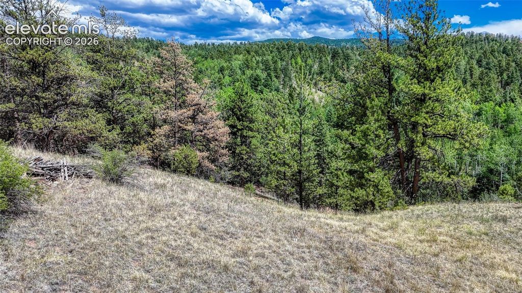 218 Princess Road, Cripple Creek, CO 80813 — photo 4