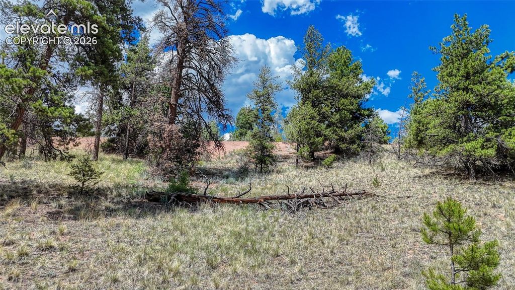 218 Princess Road, Cripple Creek, CO 80813 — photo 5