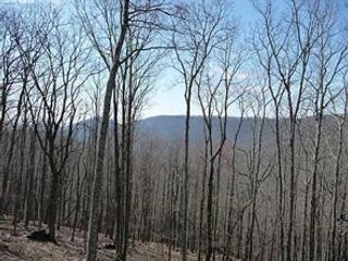 101 Deer Run, Big Canoe, GA 30143