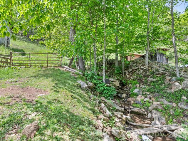 3607 Max Patch Road, Clyde, NC 28721