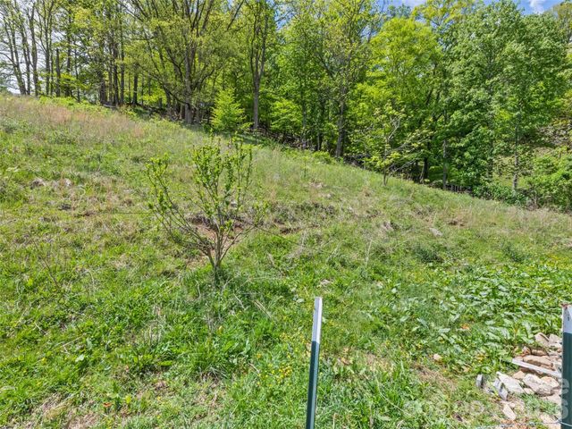 3607 Max Patch Road, Clyde, NC 28721