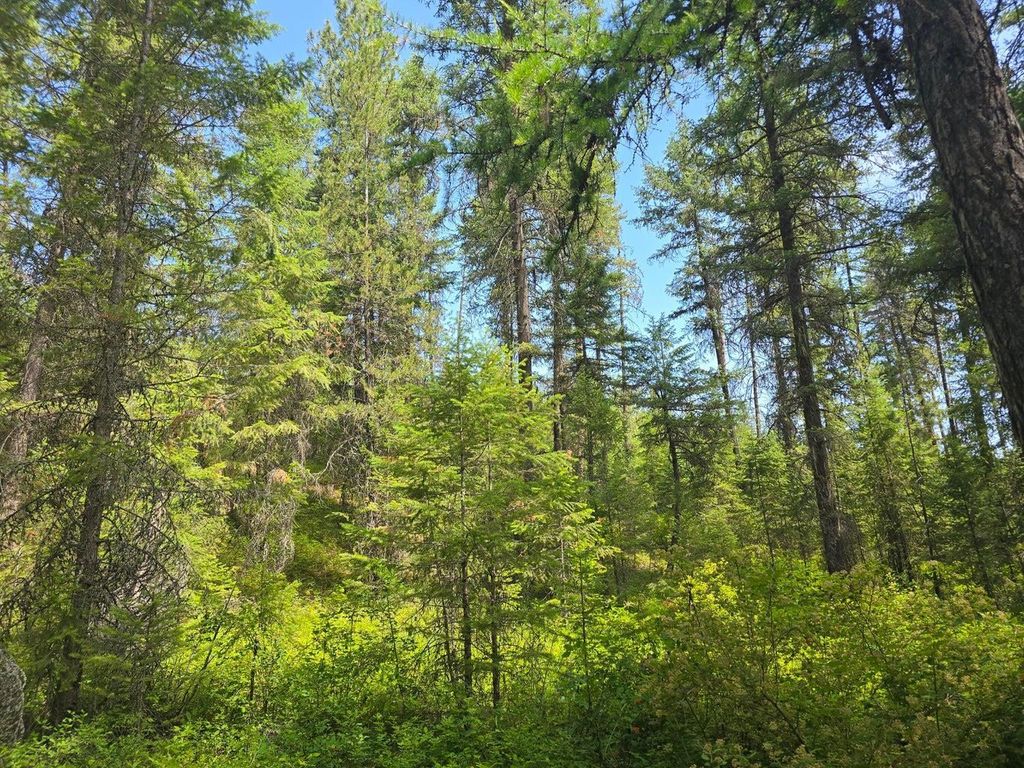 TBD 395 Hwy, Loon Lake, WA 99148 photo 2