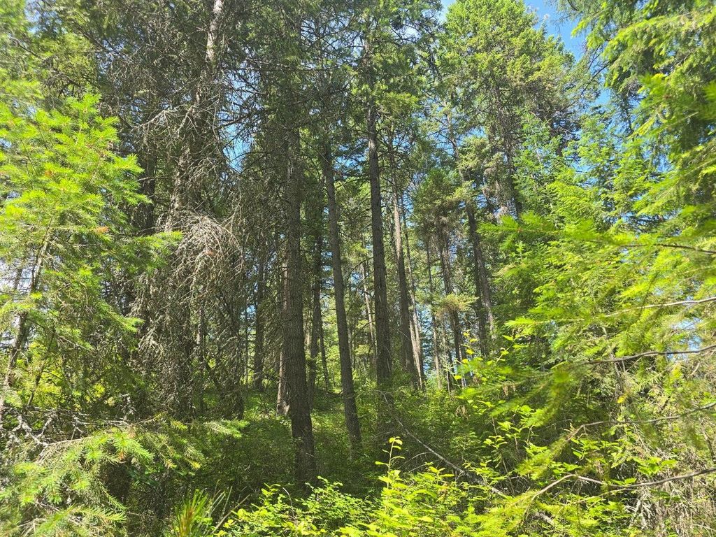 TBD 395 Hwy, Loon Lake, WA 99148 photo 11