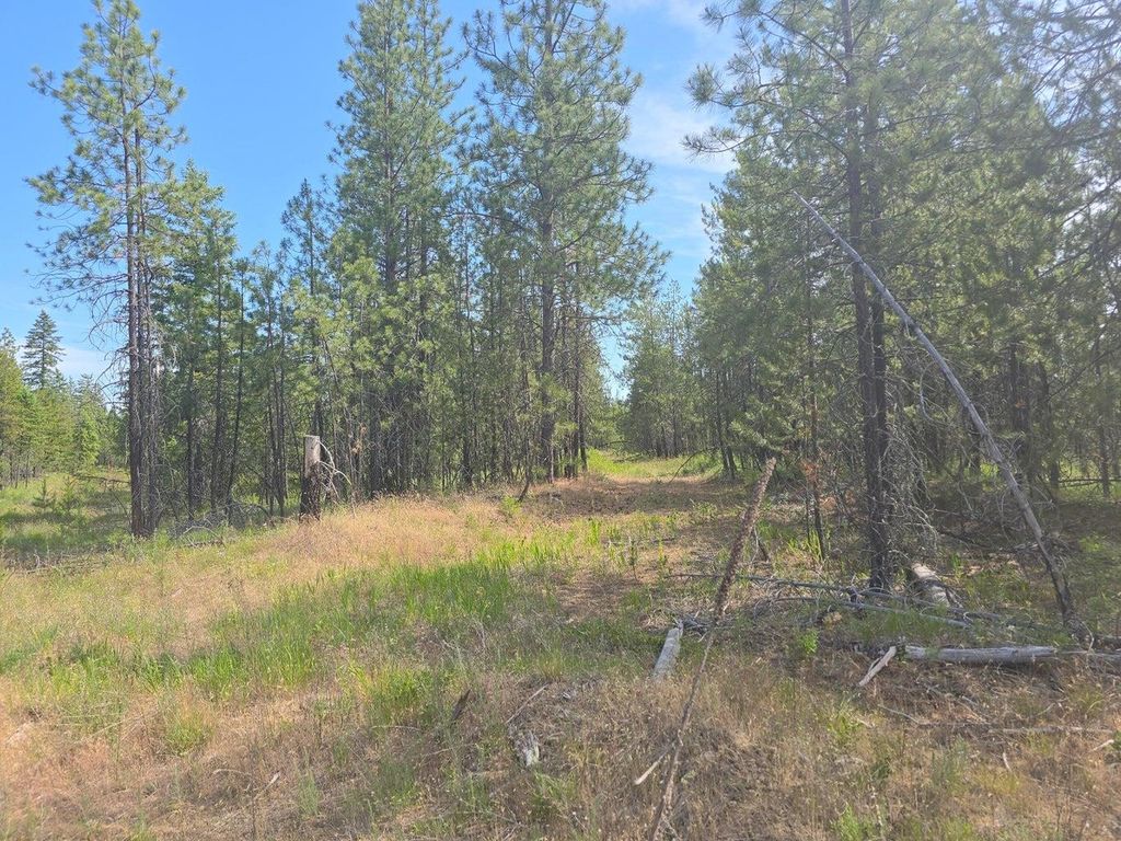 TBD 395 Hwy, Loon Lake, WA 99148 photo 14