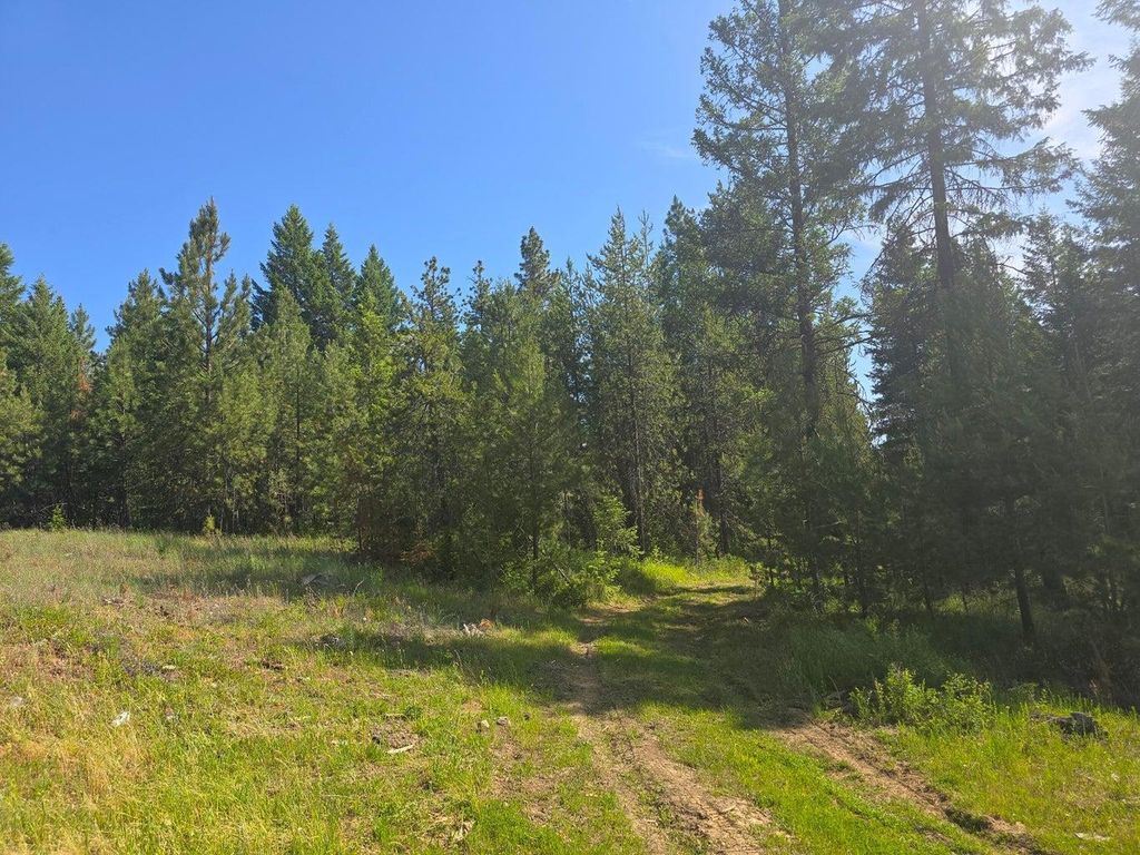 TBD 395 Hwy, Loon Lake, WA 99148 photo 15