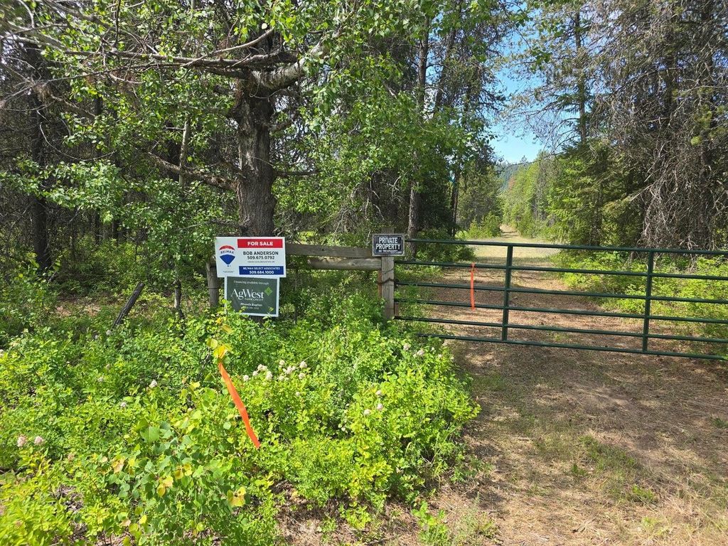 TBD 395 Hwy, Loon Lake, WA 99148 photo 16