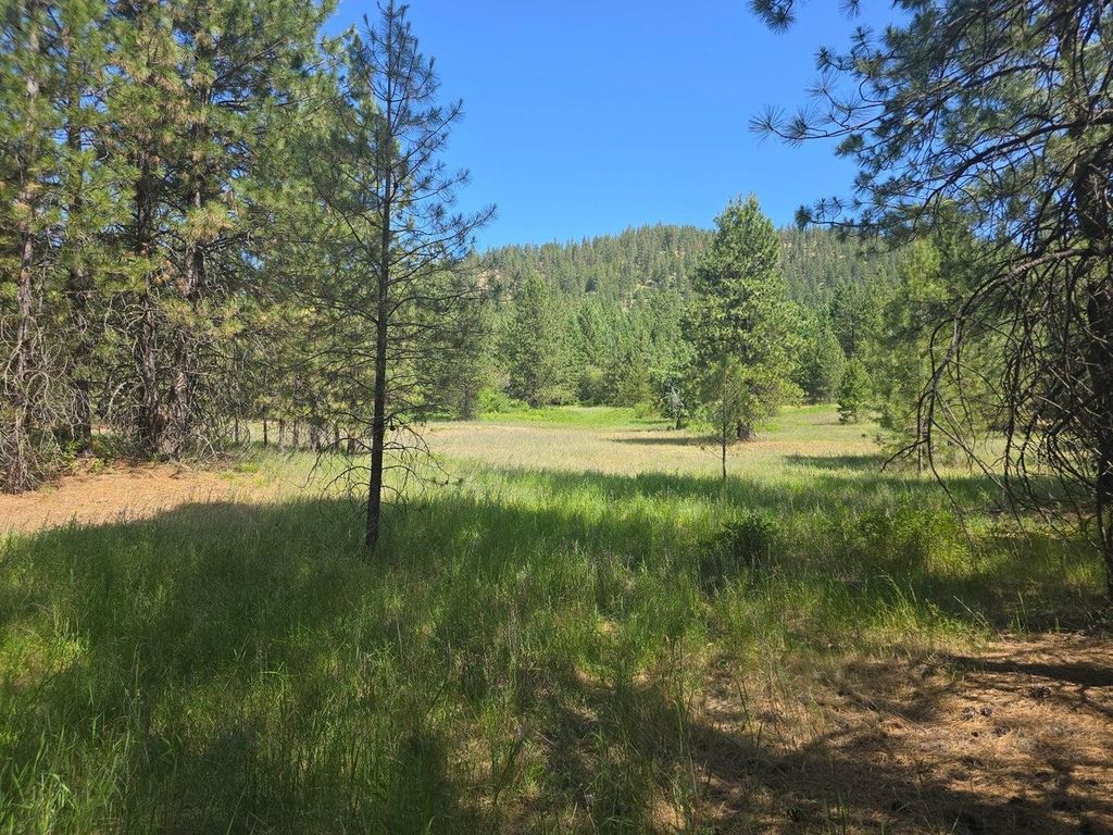 TBD 395 Hwy, Loon Lake, WA 99148 photo 3