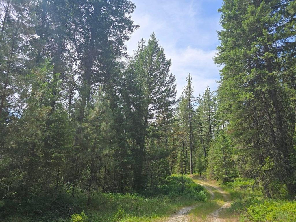 TBD 395 Hwy, Loon Lake, WA 99148 photo 5