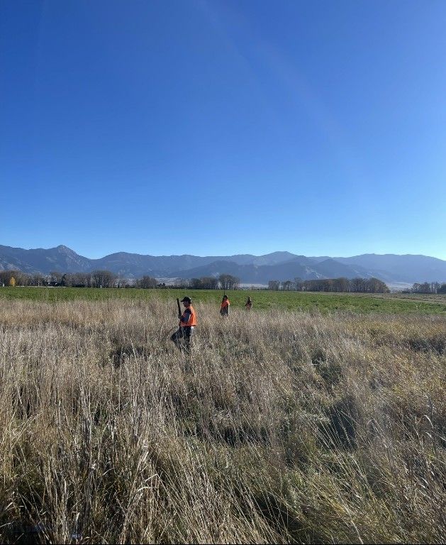 TBD Penwell Bridge Road, Belgrade, MT 59714 photo 15