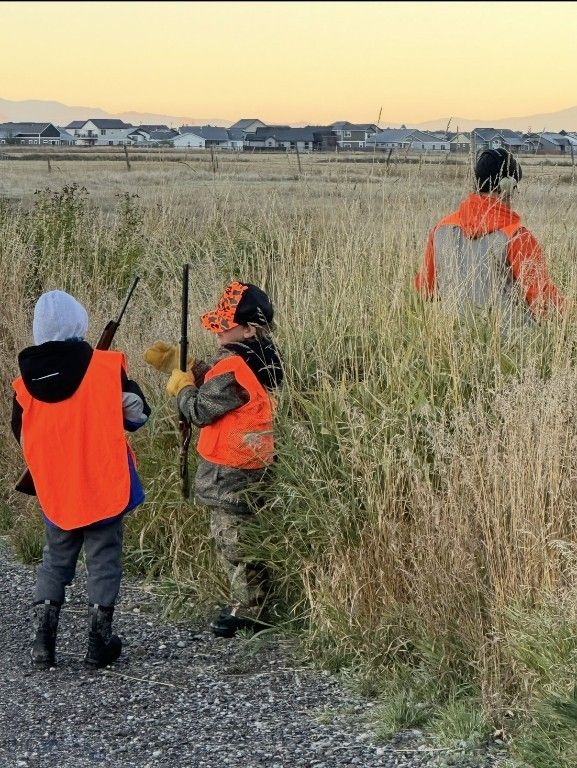 TBD Penwell Bridge Road, Belgrade, MT 59714 photo 17