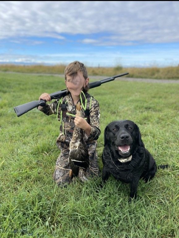 TBD Penwell Bridge Road, Belgrade, MT 59714 photo 18