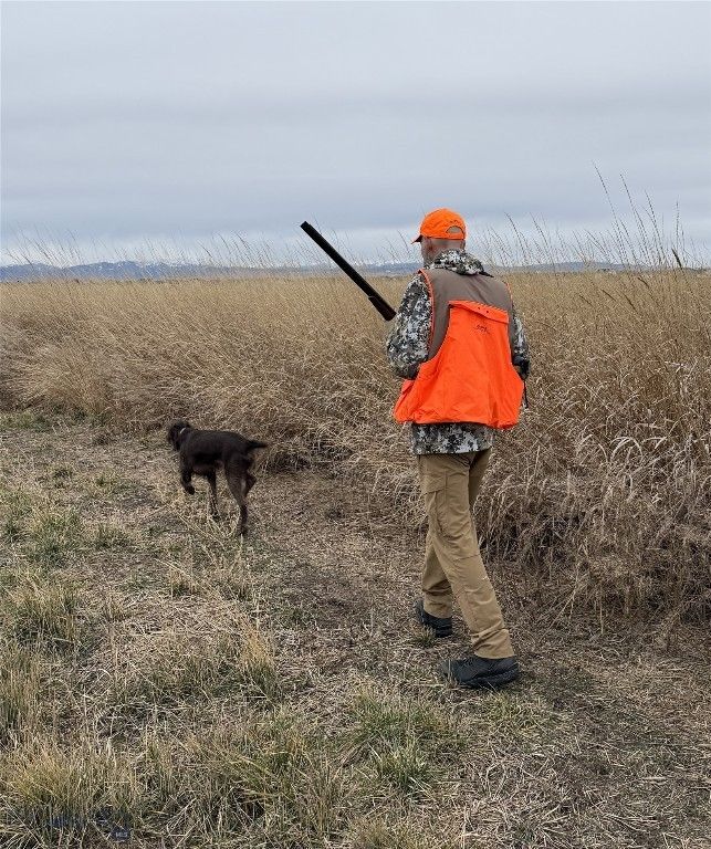 TBD Penwell Bridge Road, Belgrade, MT 59714 photo 2