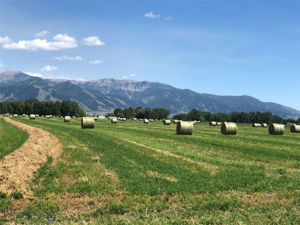 TBD Penwell Bridge Road, Belgrade, MT 59714 photo 4
